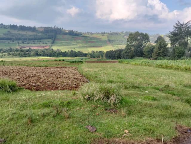 Agricultural Land For Sale in Ol Kalou area, Nyandarua_4