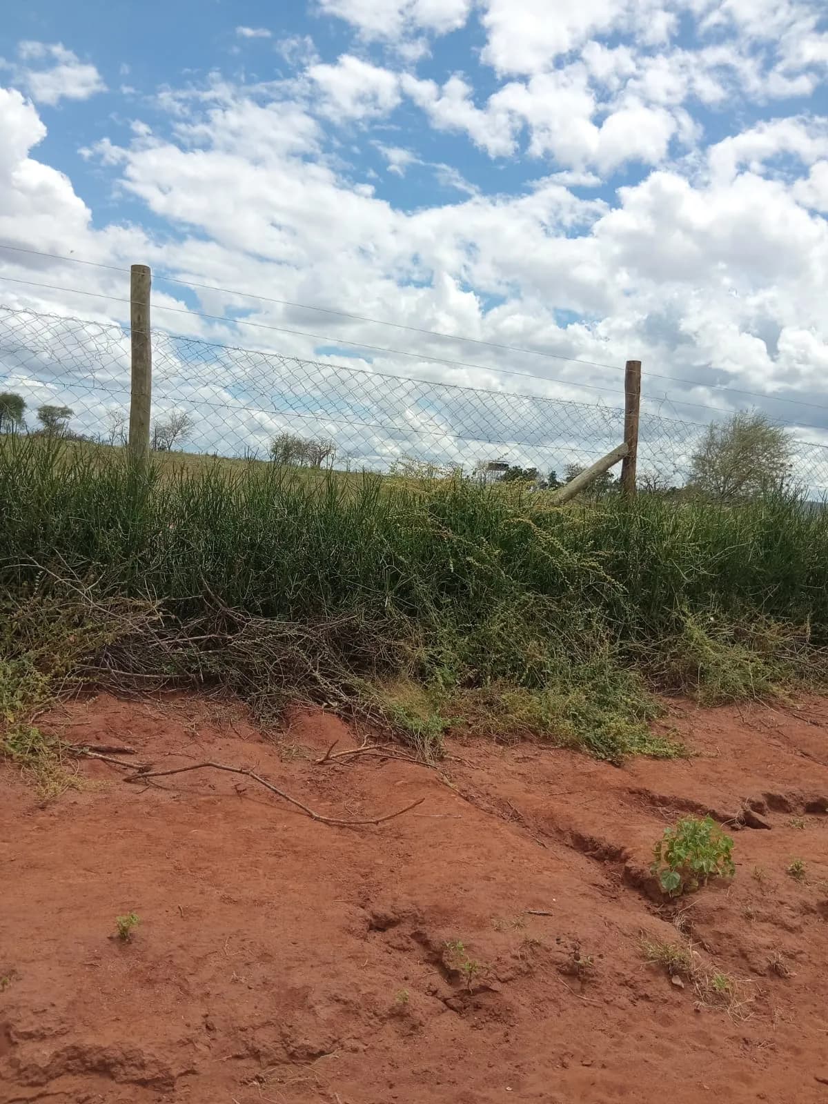 1100 Acres of Land For Sale in Makueni_4