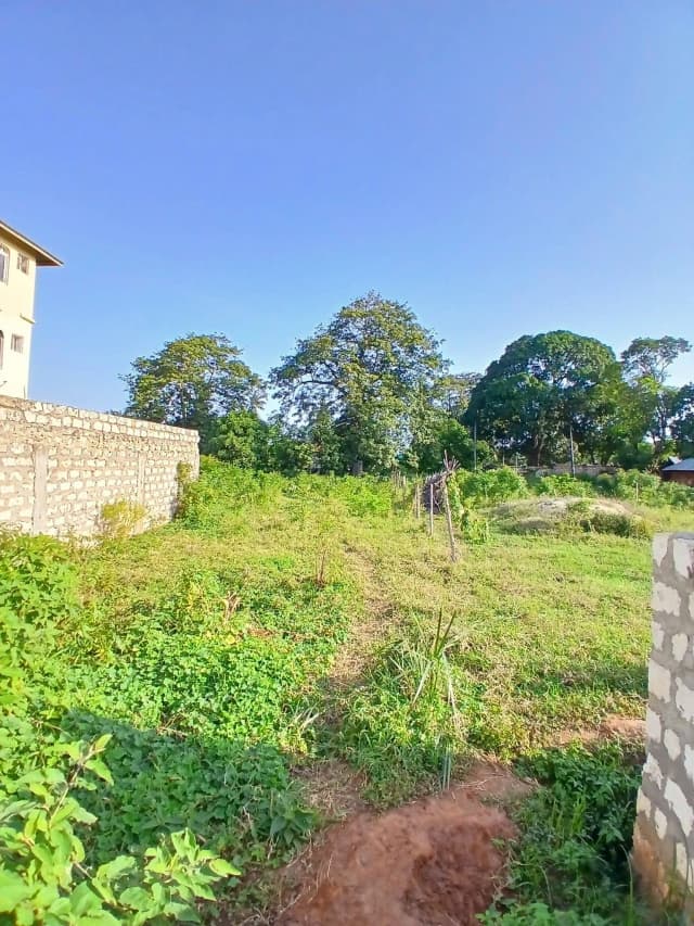 Mixed Use Land For Sale in Mtwapa_1