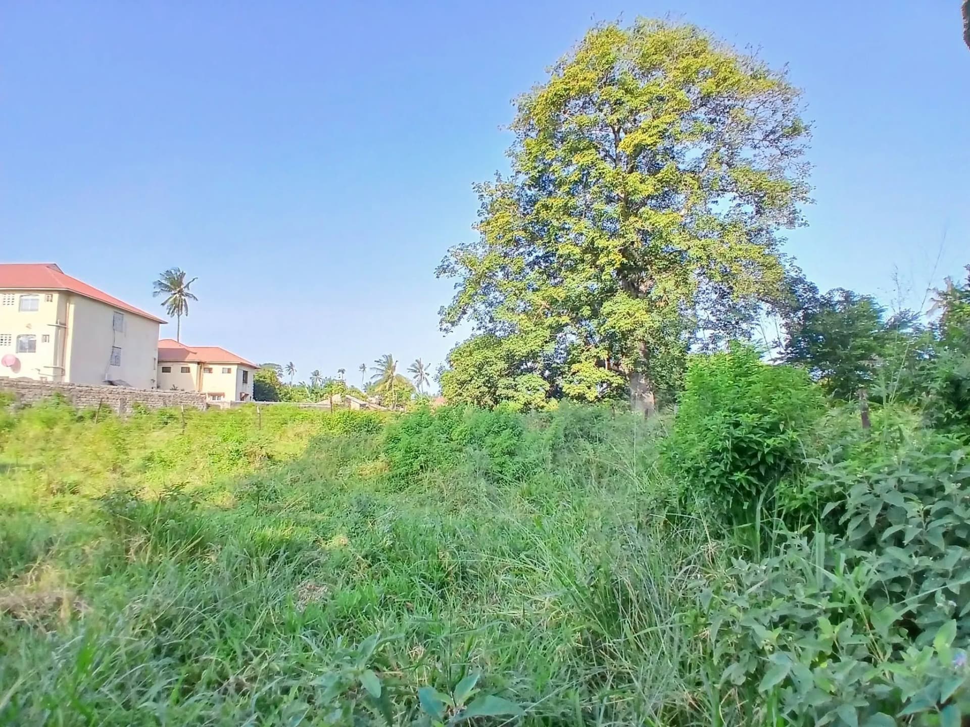 Mixed Use Land For Sale in Mtwapa_5
