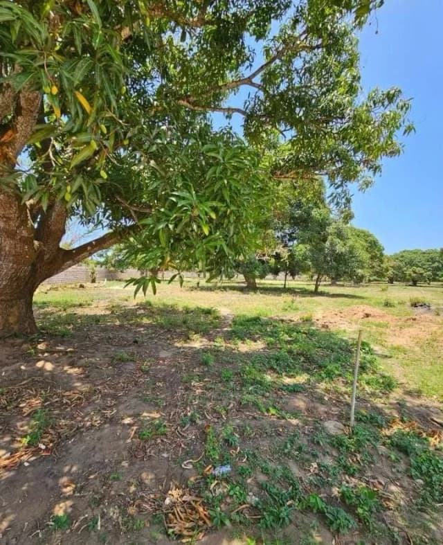 QUARTER ACRE LAND FOR SALE IN VIPINGO,NORTHCOAST_2