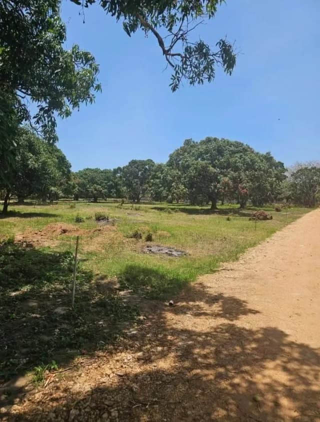 QUARTER ACRE LAND FOR SALE IN VIPINGO,NORTHCOAST_4