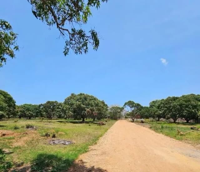 QUARTER ACRE LAND FOR SALE IN VIPINGO,NORTHCOAST_5