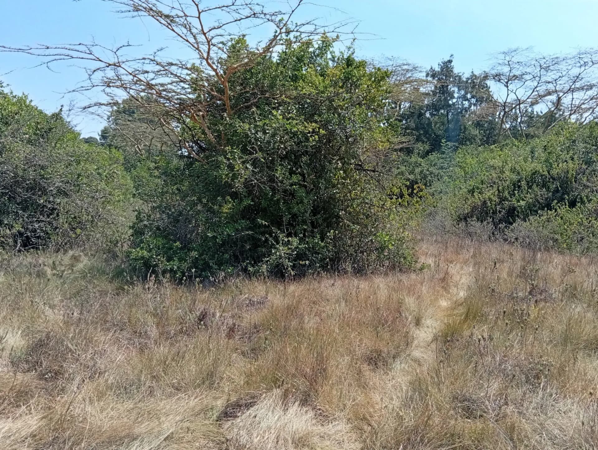 Land For Sale in Karen_3