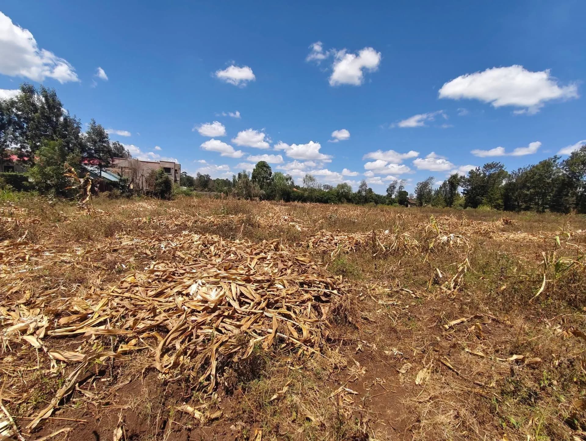 Residential Land For Sale in Ngong_3
