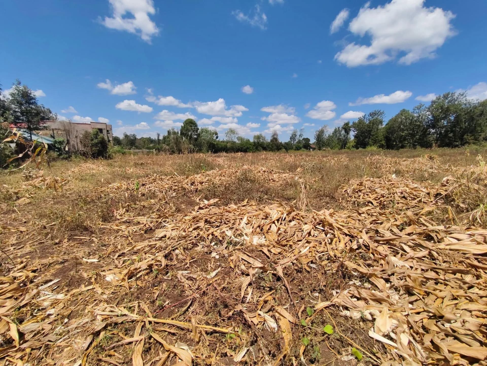 Residential Land For Sale in Ngong_4