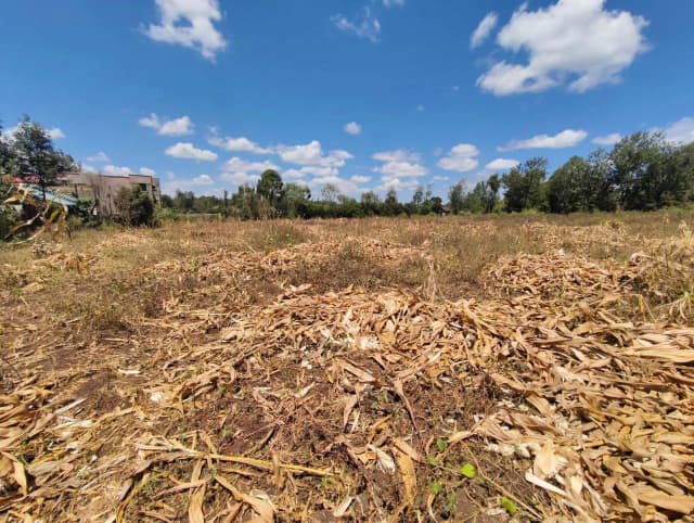 Residential Land For Sale in Ngong_4