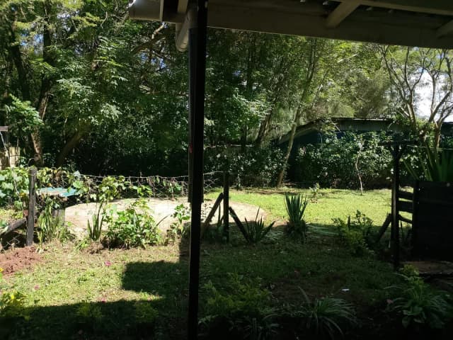 1 Bedroom Studio/Bedsitter For Rent in Karen_1