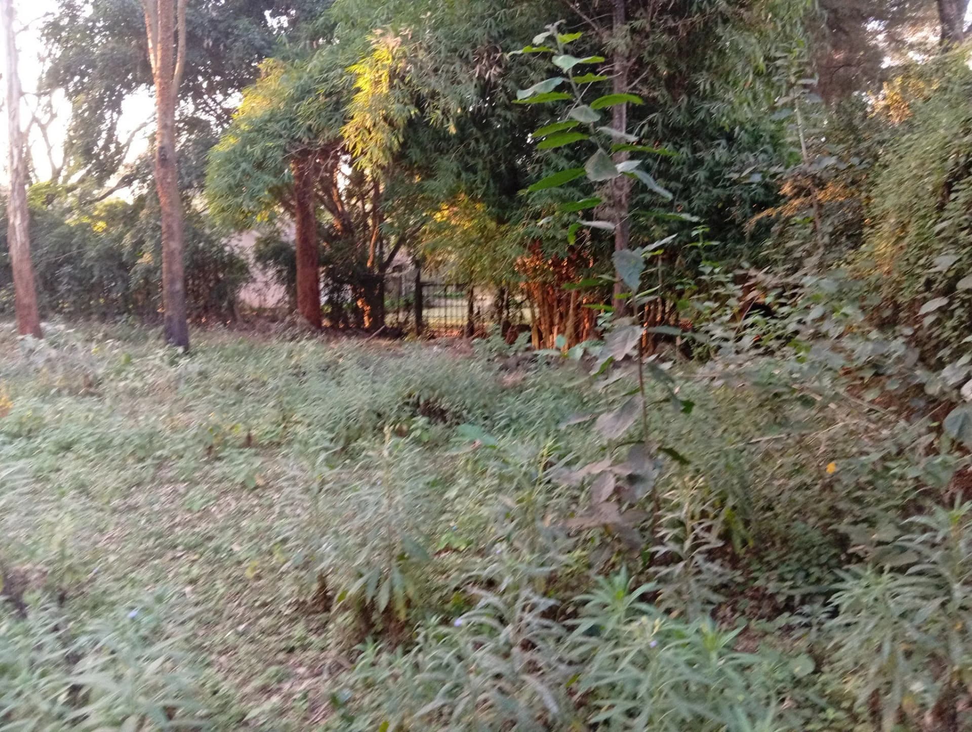 Residential Land For Sale in  Karen_1