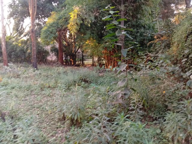 Residential Land For Sale in  Karen_1