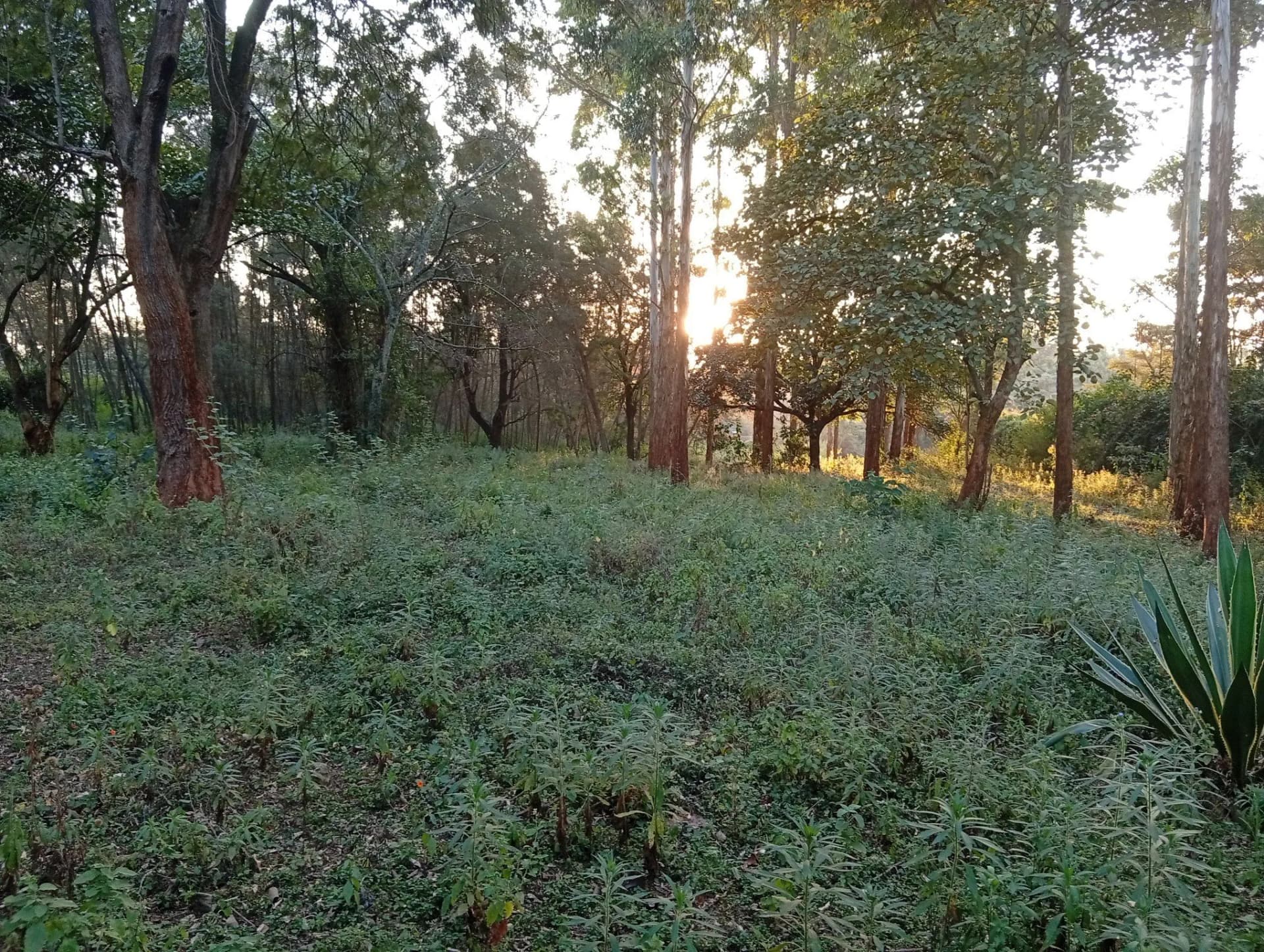 Residential Land For Sale in  Karen_2