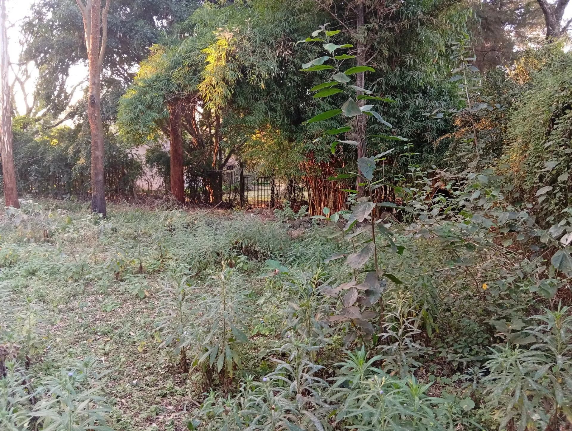 Residential Land For Sale in  Karen_3