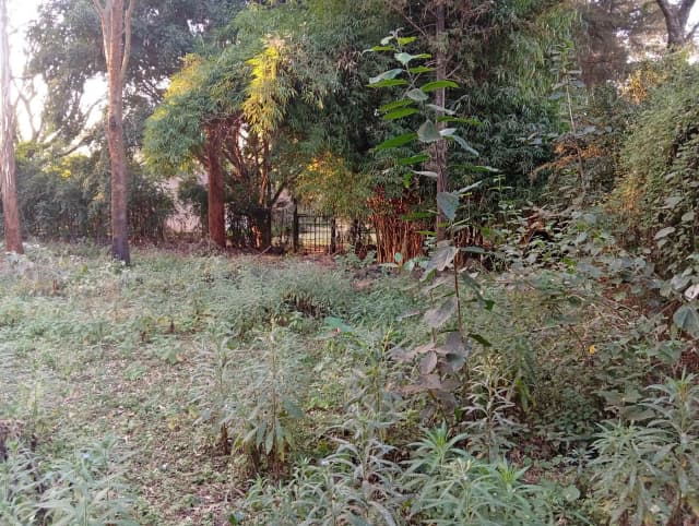 Residential Land For Sale in  Karen_3