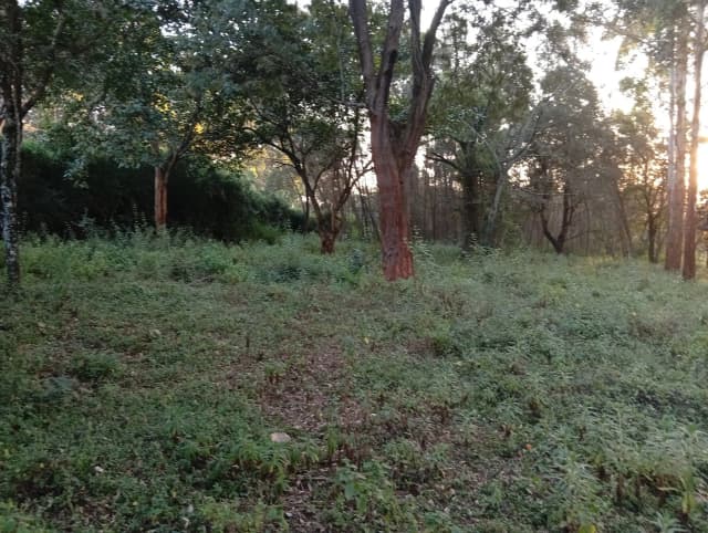 Residential Land For Sale in  Karen_4