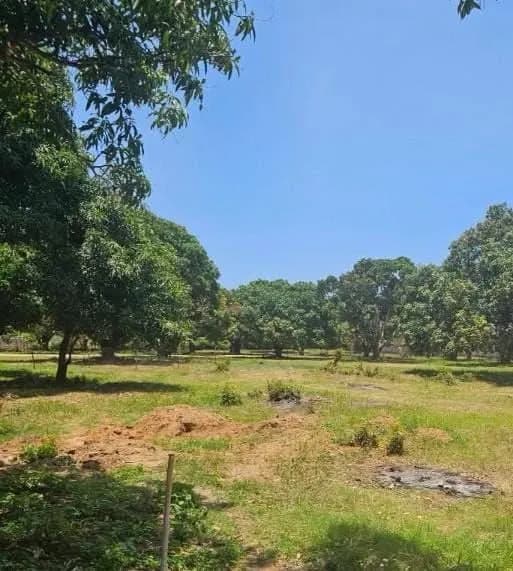 QUARTER ACRE LAND FOR SALE IN VIPINGO,NORTHCOAST floor planning image