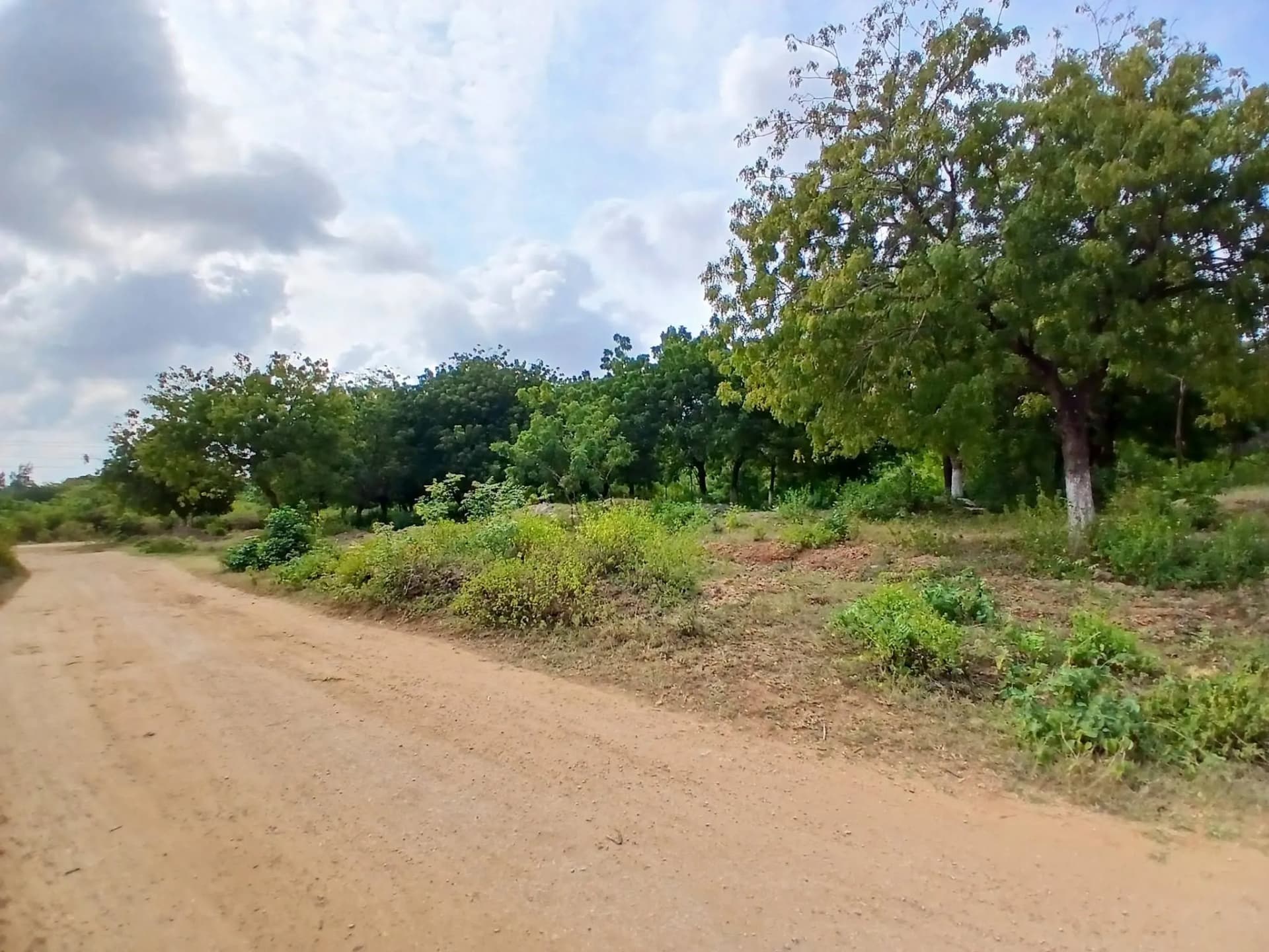 Mixed Use Land For Sale in SHANZU, SHANZU_0