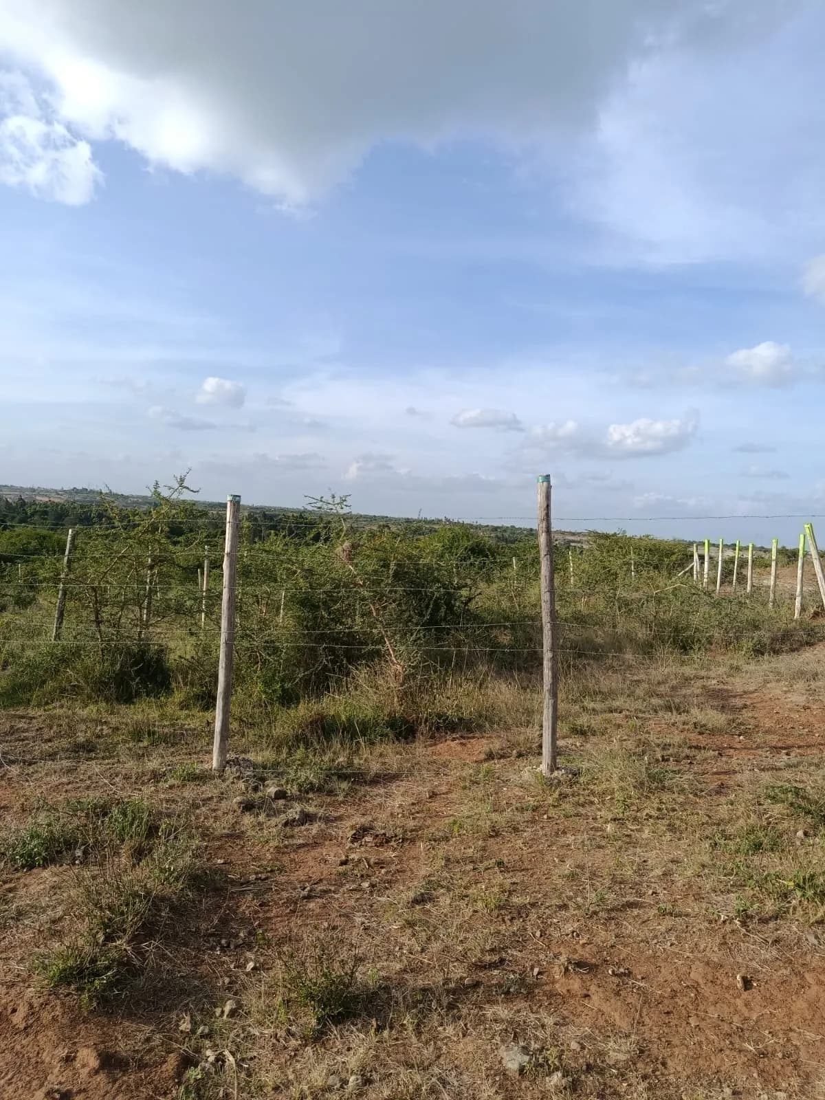 Investment Land for sale in Juja Farm, Juja_3