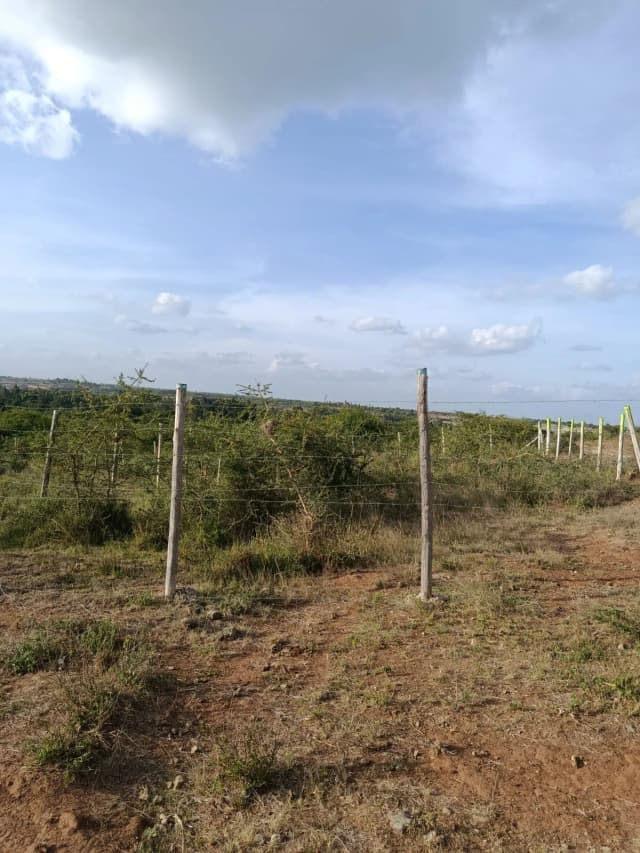 Investment Land for sale in Juja Farm, Juja_3