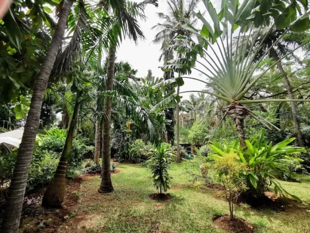 3 Bedroom Villa For Sale in La marina, Mtwapa_11