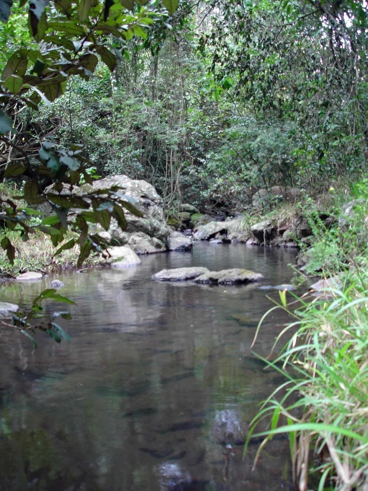 Ranch For Sale on the Rift Valley Escarpment to the North East of Lake Naivasha_1