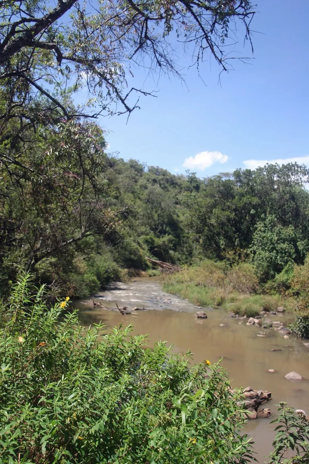 Ranch For Sale on the Rift Valley Escarpment to the North East of Lake Naivasha_6