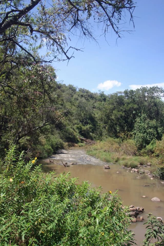 Ranch For Sale on the Rift Valley Escarpment to the North East of Lake Naivasha_6