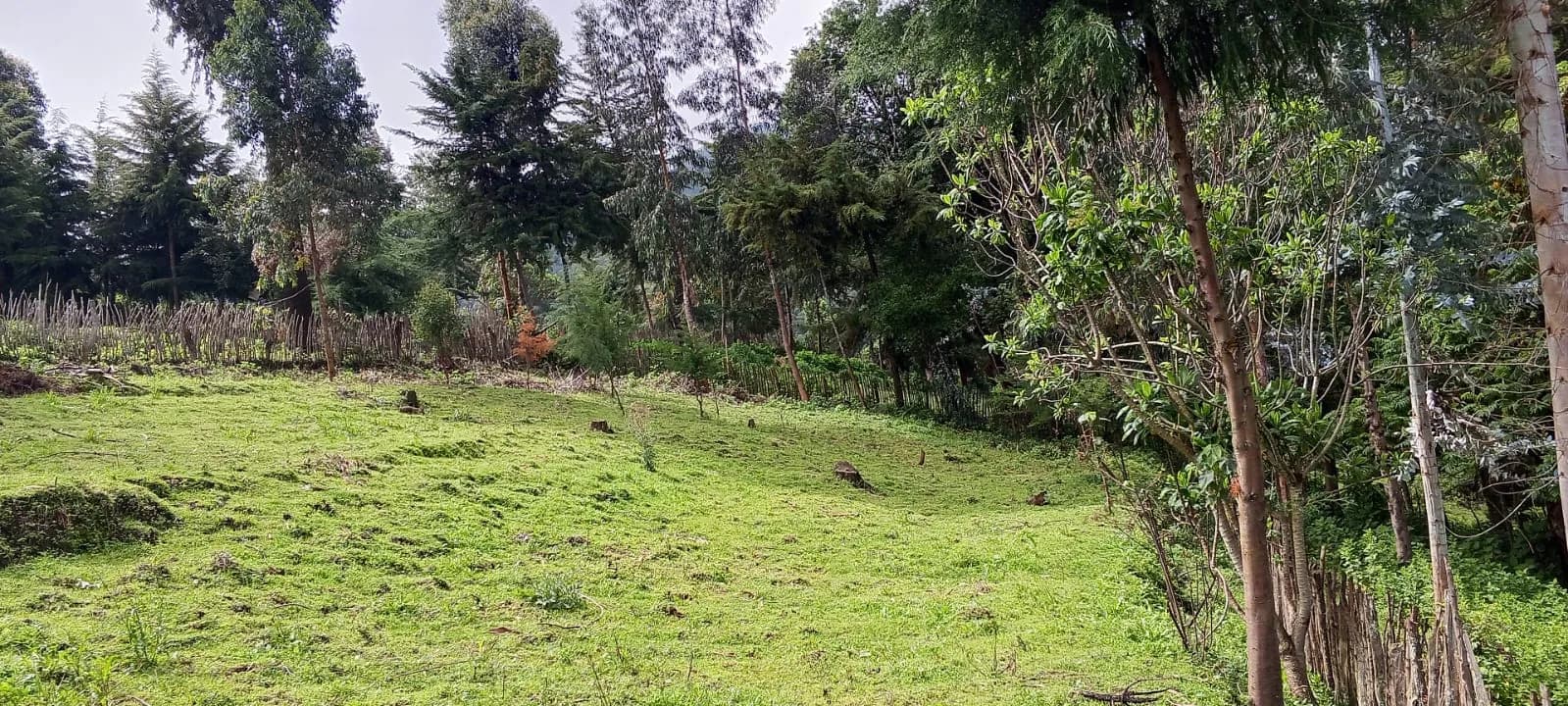 Land For Sale in Ol Kalou, Nyandarau_1