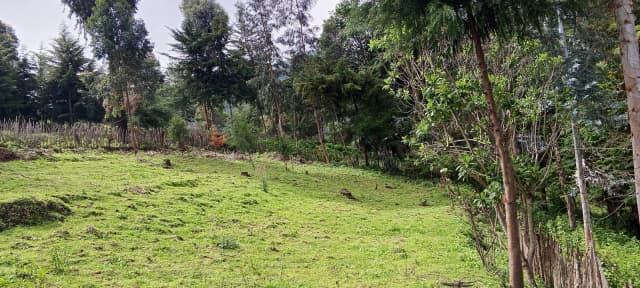 Land For Sale in Ol Kalou, Nyandarau_1
