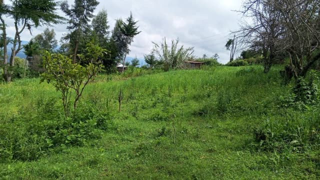 Land For Sale in Ol Kalou, Nyandarau_2