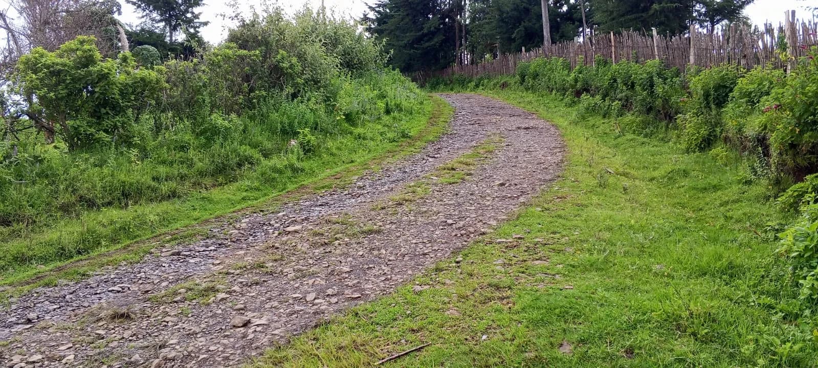 Land For Sale in Ol Kalou, Nyandarau_4