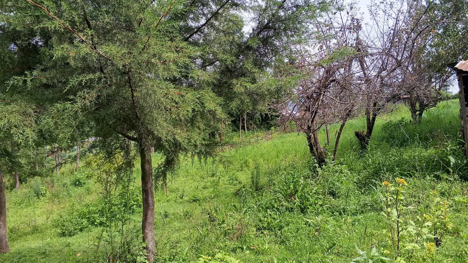 Land For Sale in Ol Kalou, Nyandarau_5