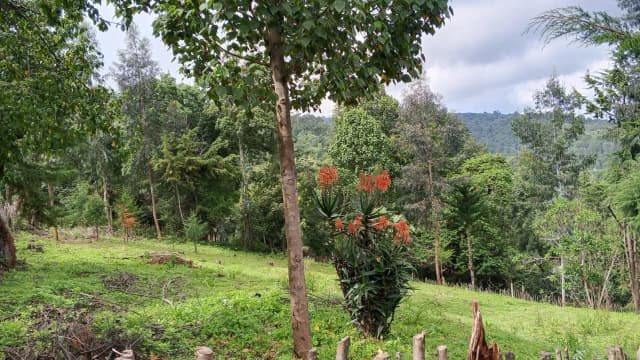 Land For Sale in Ol Kalou, Nyandarau_6