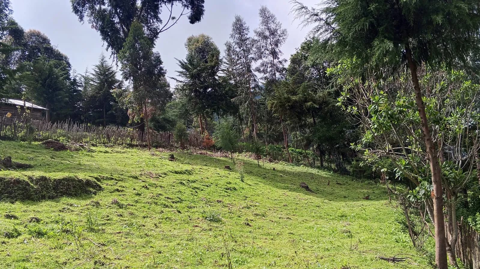 Land For Sale in Ol Kalou, Nyandarau_7