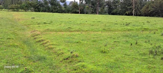 Land For Sale in Mawingo Rurii, Nyandarua_1