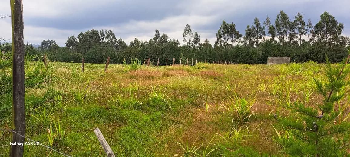 Land For Sale in Mawingo Rurii, Nyandarua_2