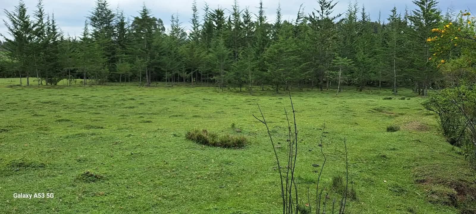 Land For Sale in Mawingo Rurii, Nyandarua_3