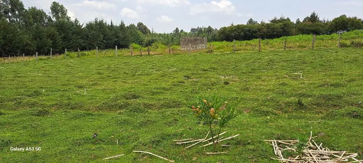 Land For Sale in Mawingo Rurii, Nyandarua_4