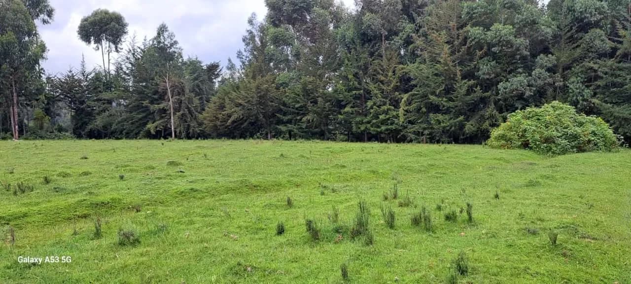Land For Sale in Mawingo Rurii, Nyandarua_5