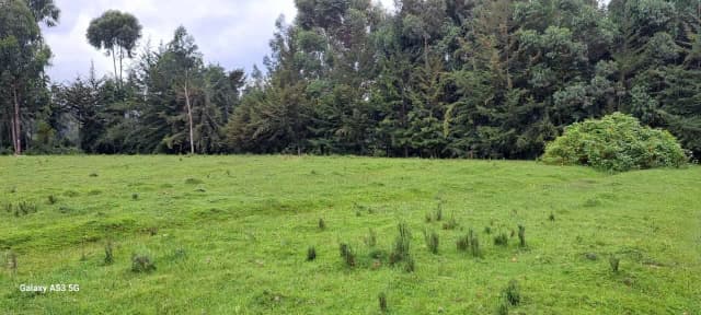 Land For Sale in Mawingo Rurii, Nyandarua_5