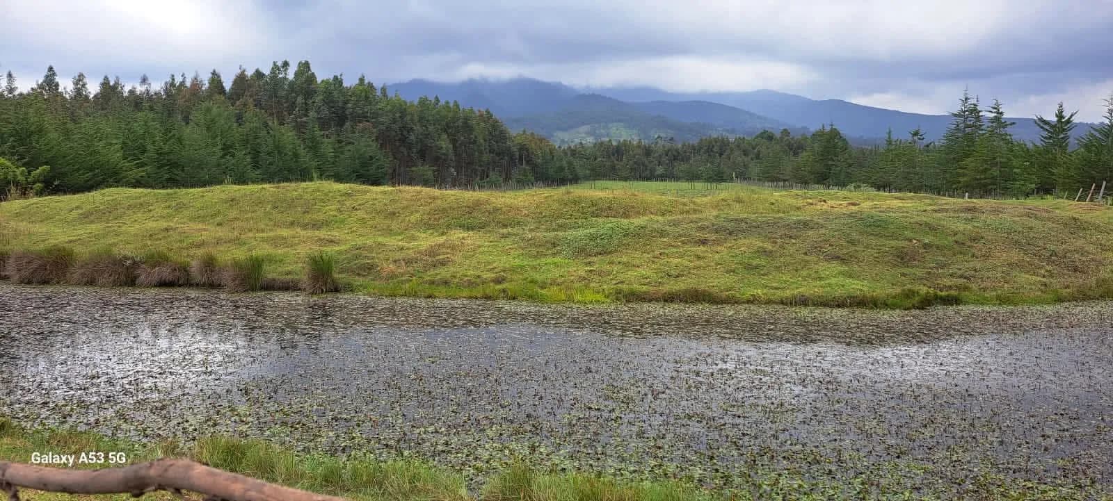 Land For Sale in Mawingo Rurii, Nyandarua_6