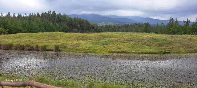 Land For Sale in Mawingo Rurii, Nyandarua_6