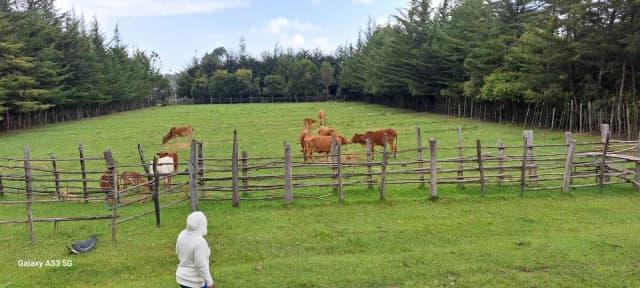 Land For Sale in Mawingo Rurii, Nyandarua_7