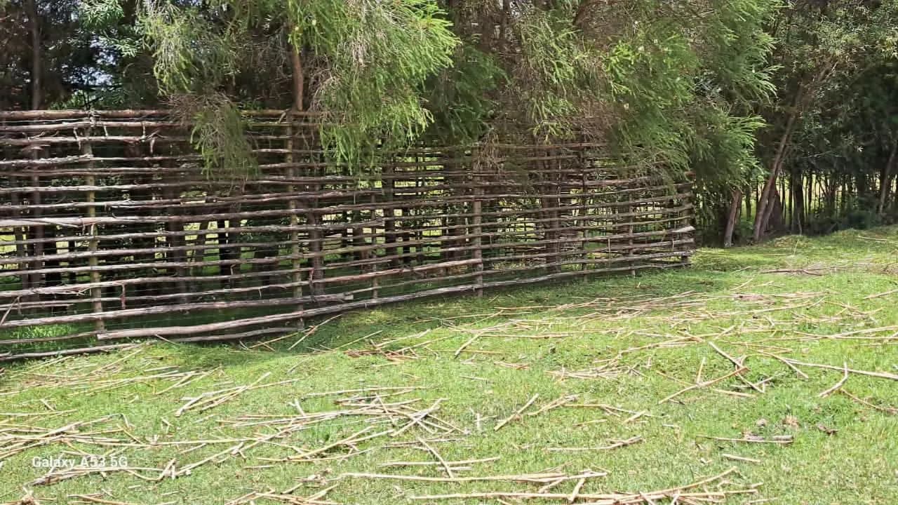 Land For Sale in Mawingo Rurii, Nyandarua_10