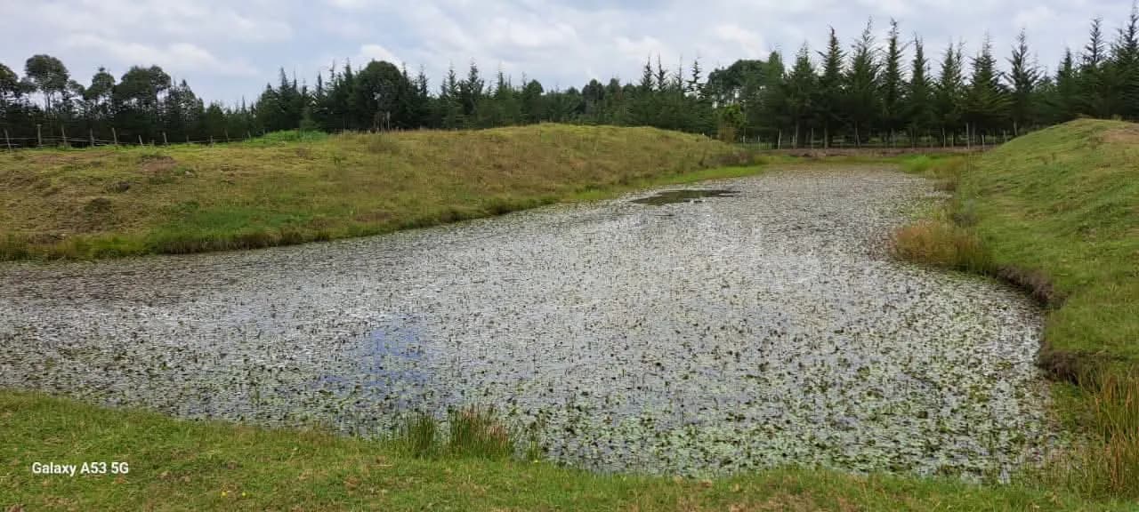 Land For Sale in Mawingo Rurii, Nyandarua_13