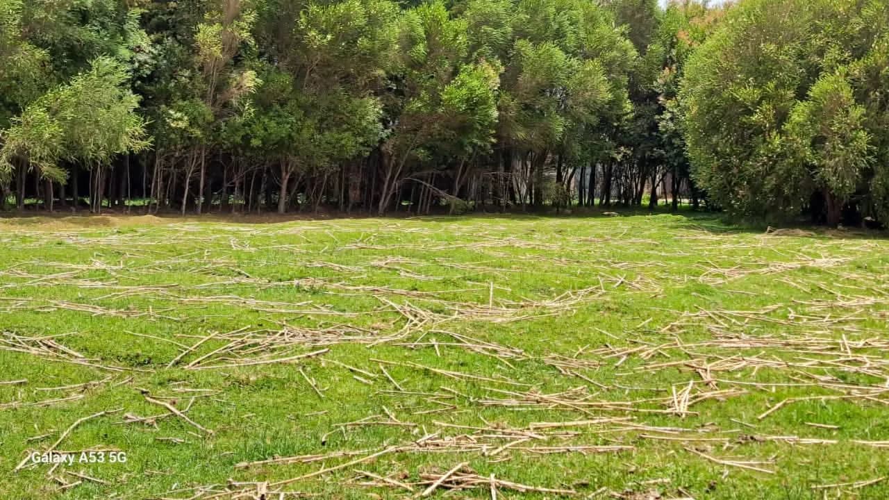 Land For Sale in Mawingo Rurii, Nyandarua_14