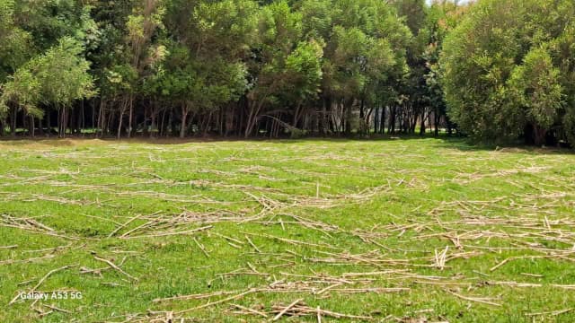 Land For Sale in Mawingo Rurii, Nyandarua_14
