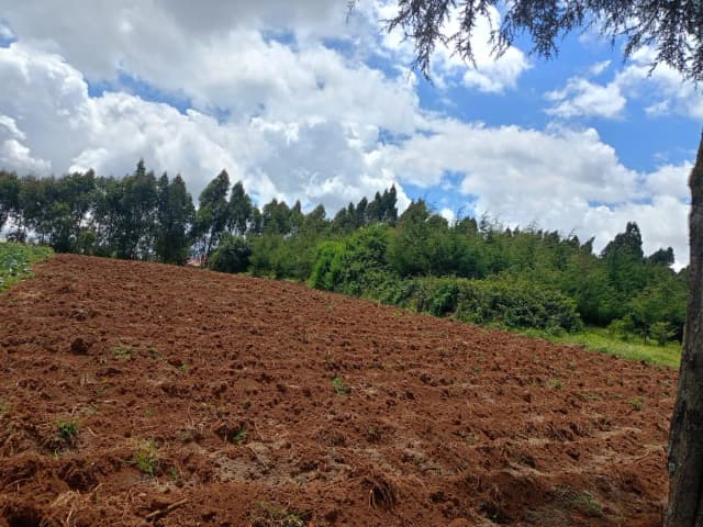 Mixed Use Land For Sale Karangatha, South Kinangop_2