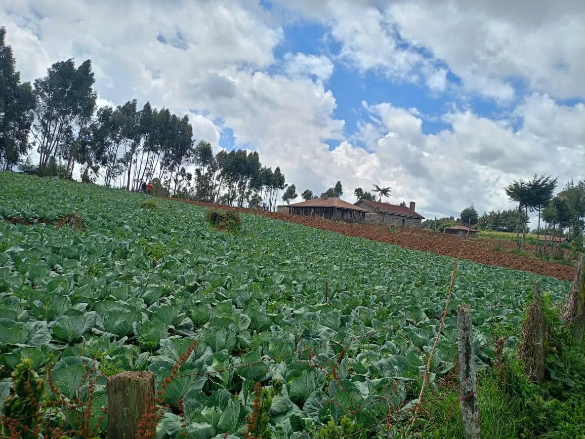 Mixed Use Land For Sale Karangatha, South Kinangop_3