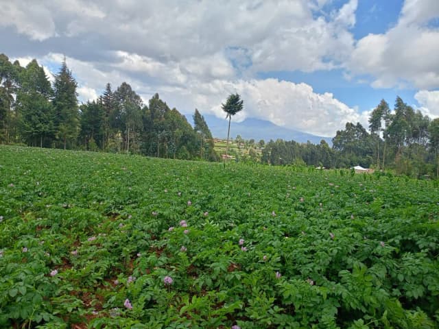 Mixed Use Land For Sale Karangatha, South Kinangop_4