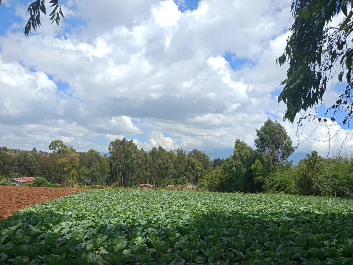 Mixed Use Land For Sale Karangatha, South Kinangop_5